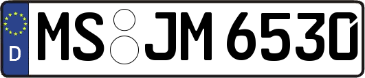 MS-JM6530
