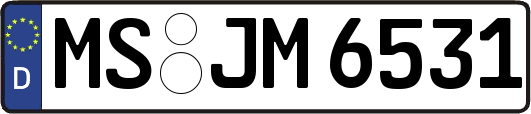 MS-JM6531