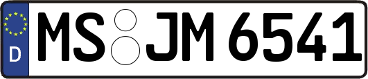 MS-JM6541