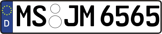 MS-JM6565