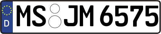 MS-JM6575