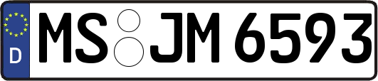 MS-JM6593