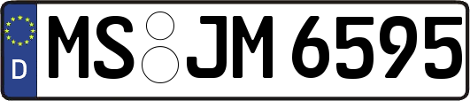 MS-JM6595