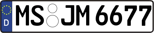 MS-JM6677