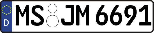 MS-JM6691