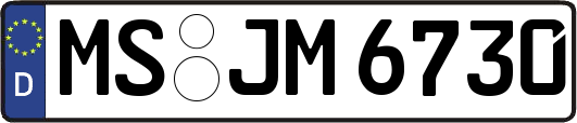 MS-JM6730