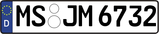 MS-JM6732