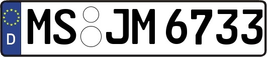 MS-JM6733