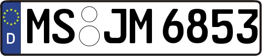 MS-JM6853