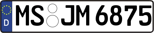 MS-JM6875
