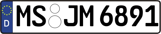 MS-JM6891