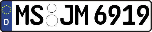 MS-JM6919