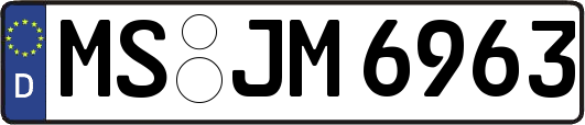 MS-JM6963