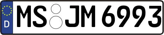 MS-JM6993