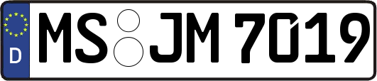 MS-JM7019