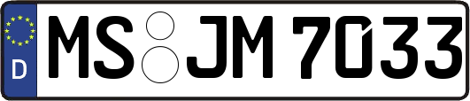 MS-JM7033