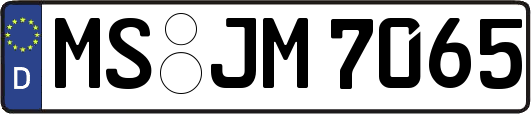 MS-JM7065