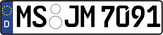 MS-JM7091