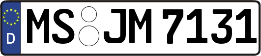 MS-JM7131