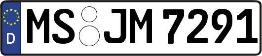 MS-JM7291