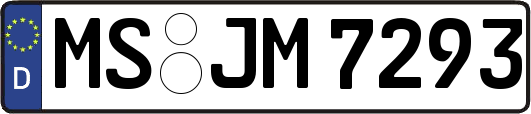 MS-JM7293