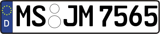 MS-JM7565