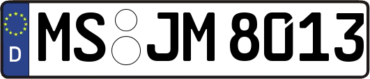 MS-JM8013