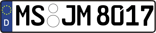 MS-JM8017