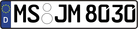 MS-JM8030
