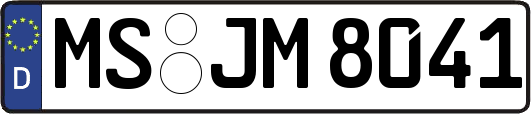 MS-JM8041