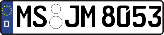 MS-JM8053