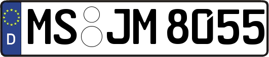 MS-JM8055