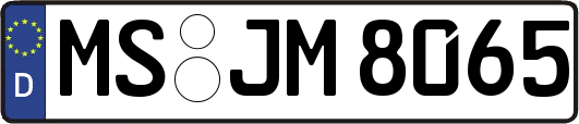 MS-JM8065
