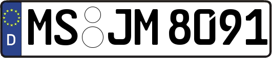 MS-JM8091
