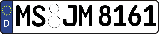 MS-JM8161