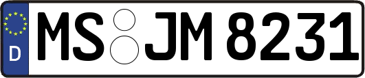 MS-JM8231