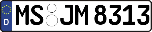 MS-JM8313