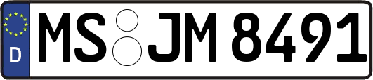 MS-JM8491
