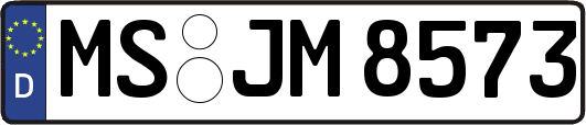MS-JM8573