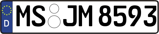 MS-JM8593