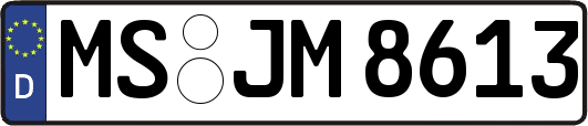 MS-JM8613