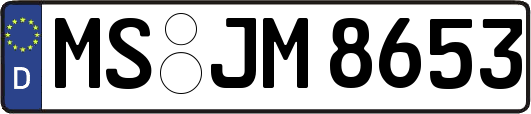 MS-JM8653