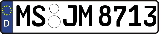 MS-JM8713