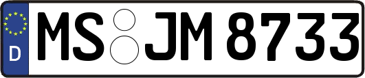 MS-JM8733