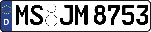 MS-JM8753