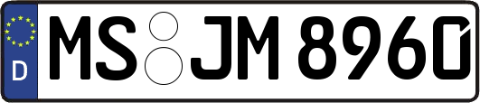 MS-JM8960