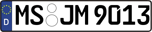 MS-JM9013