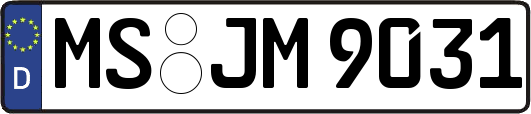 MS-JM9031