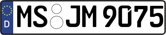 MS-JM9075