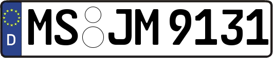 MS-JM9131
